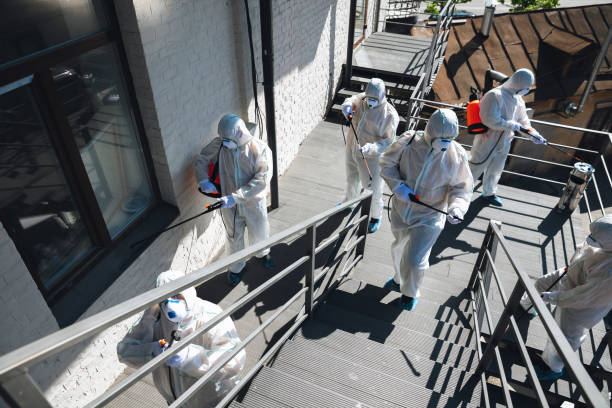Best Basement Mold Removal  in Sheffield, AL