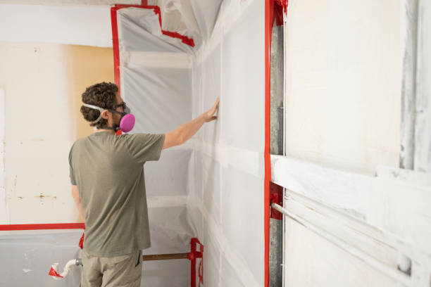 Best Mold Damage Restoration  in Sheffield, AL