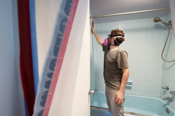 Best Mold Removal for HVAC Installations  in Sheffield, AL