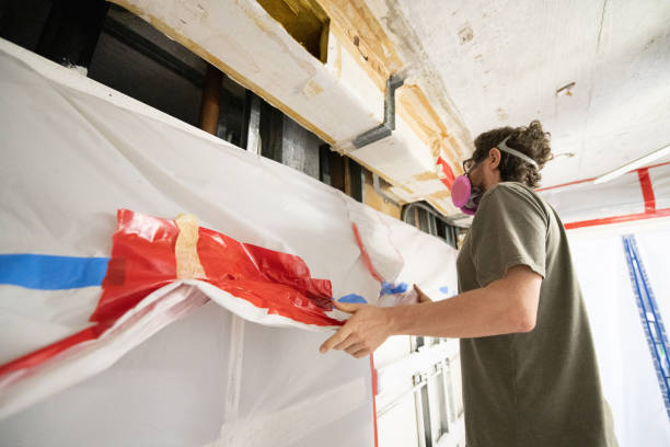 Best Attic Mold Removal  in Sheffield, AL