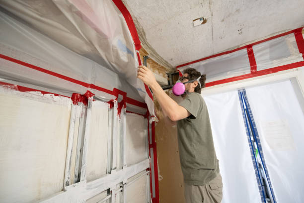 Best Real Estate Mold Inspection  in Sheffield, AL