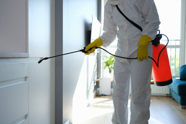 Best Residential Mold Inspection & Testing  in Sheffield, AL