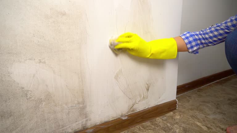 Best Mold Remediation for Rental Properties  in Sheffield, AL