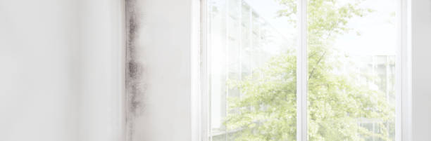 Best Indoor Air Quality Assessment  in Sheffield, AL