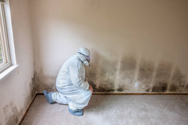 Mold Remediation for Rental Properties in Sheffield, AL